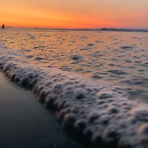 Meet your Posher, Molly